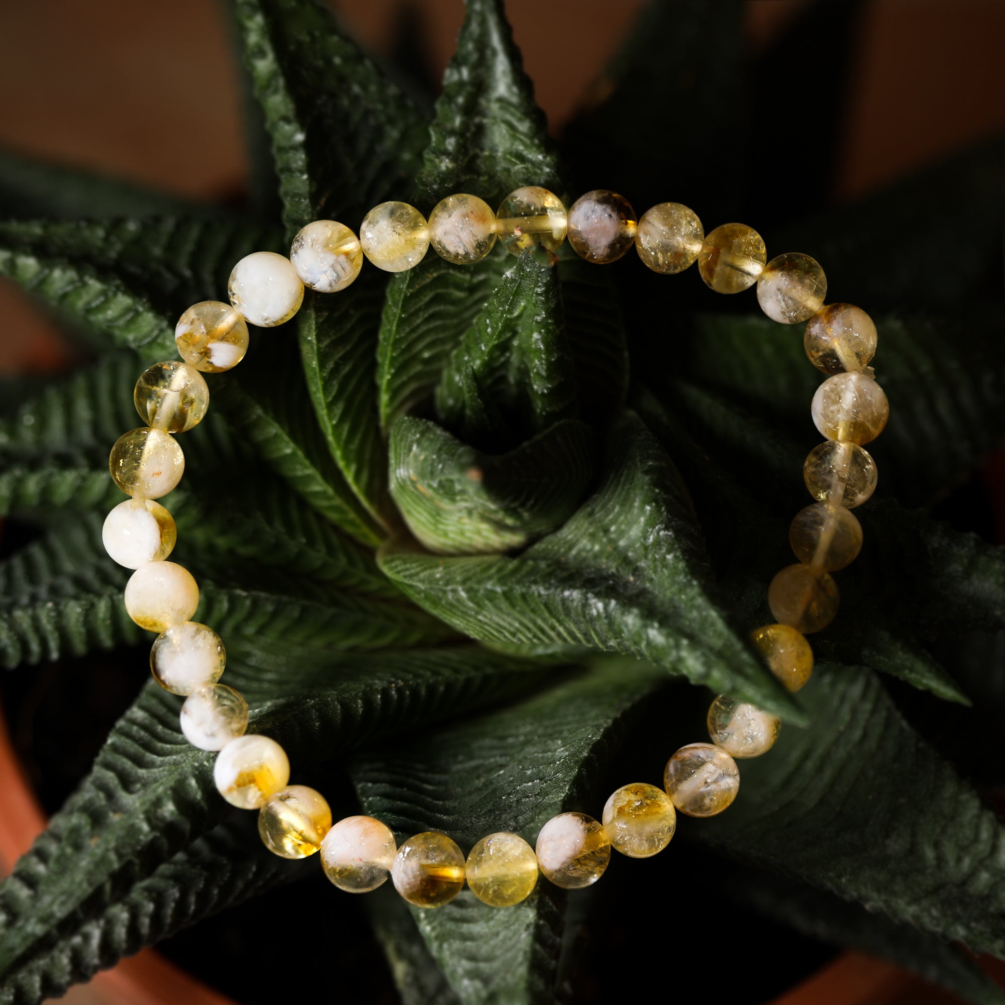 Luminous Topaz Cuff Bracelet | SKU:0018751062 - crash.club by CKC