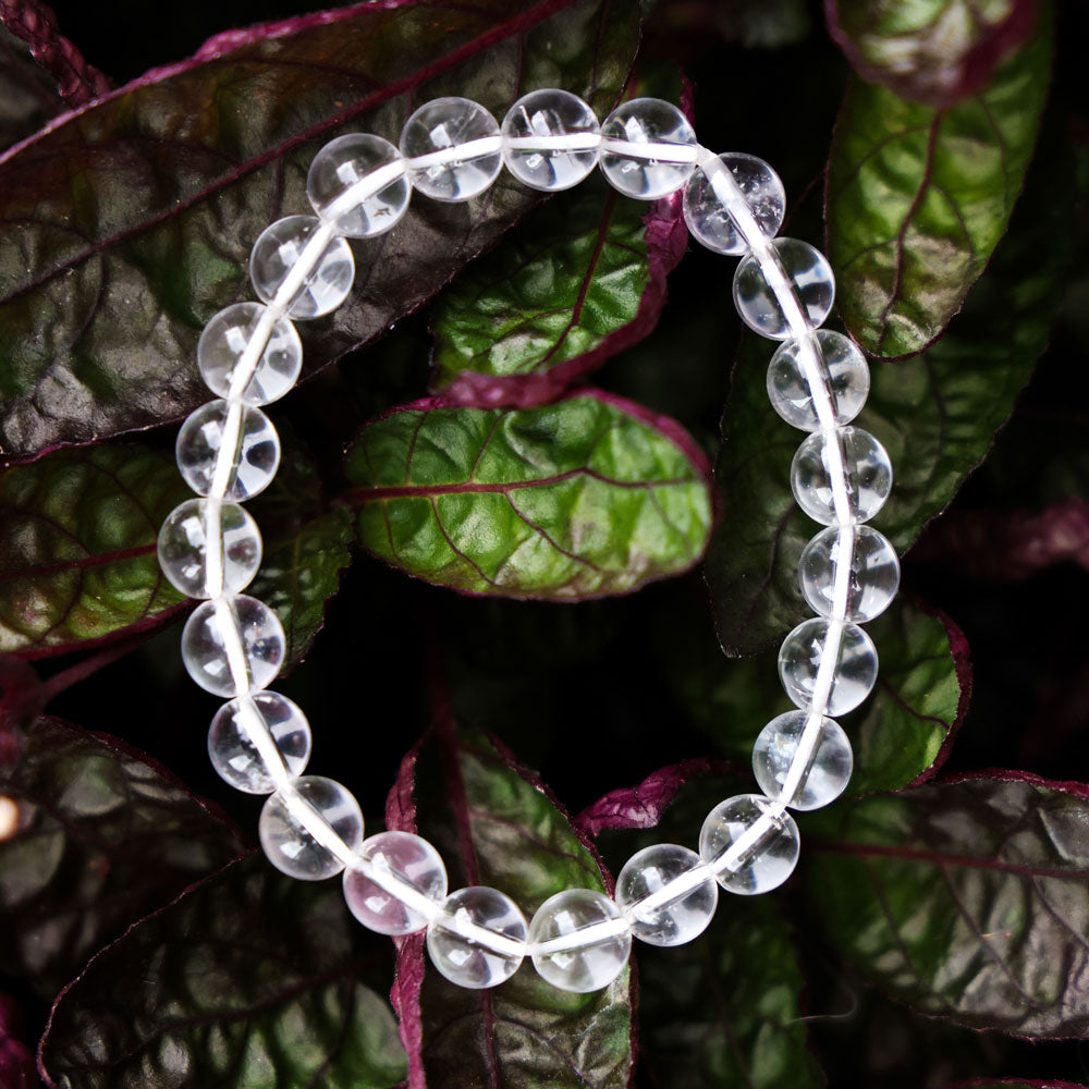 Crystal Adornment | SKU:0018875959 - crash.club by CKC