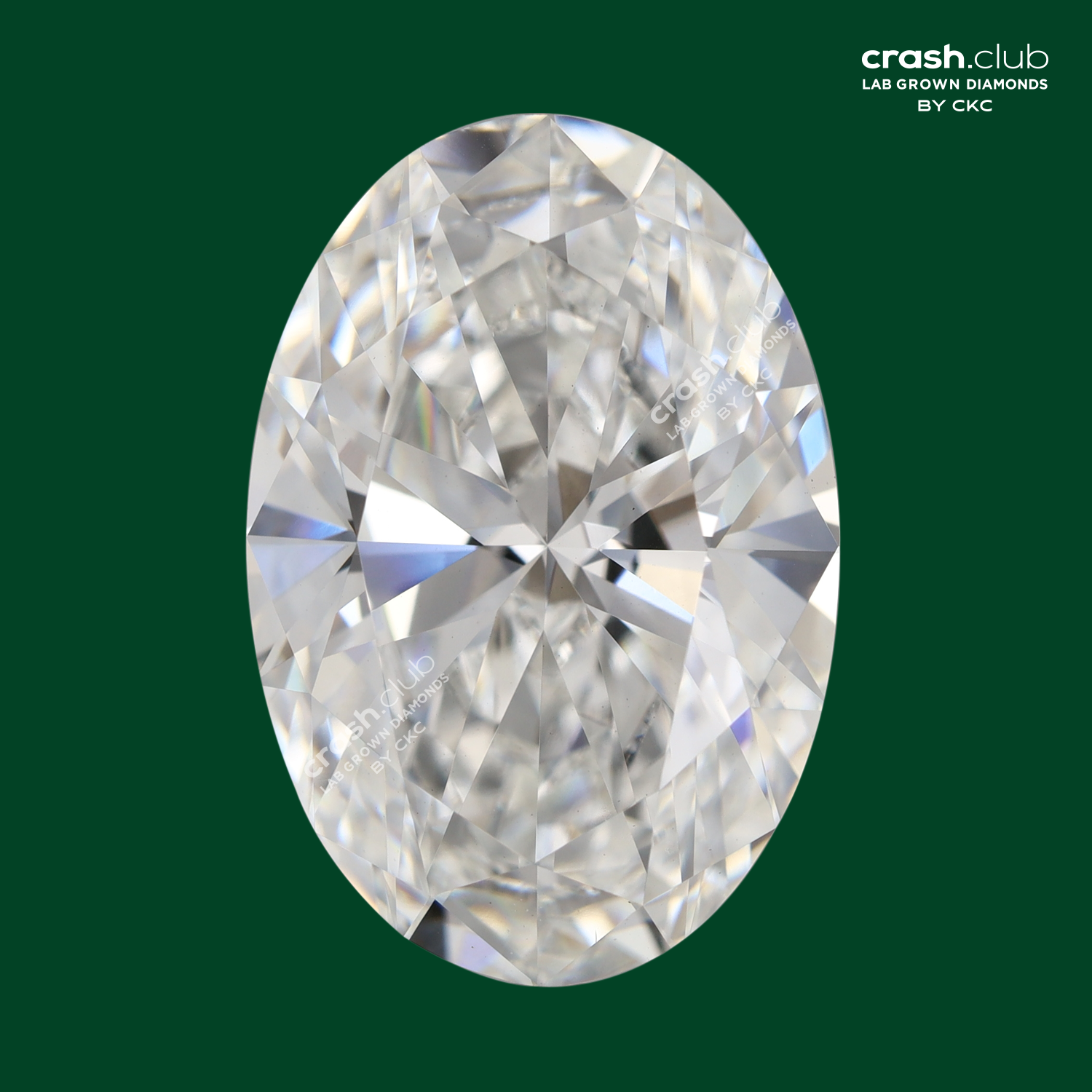 Oval Cut 4.02 Carats Lab Grown Diamond | SKU: 0019716060